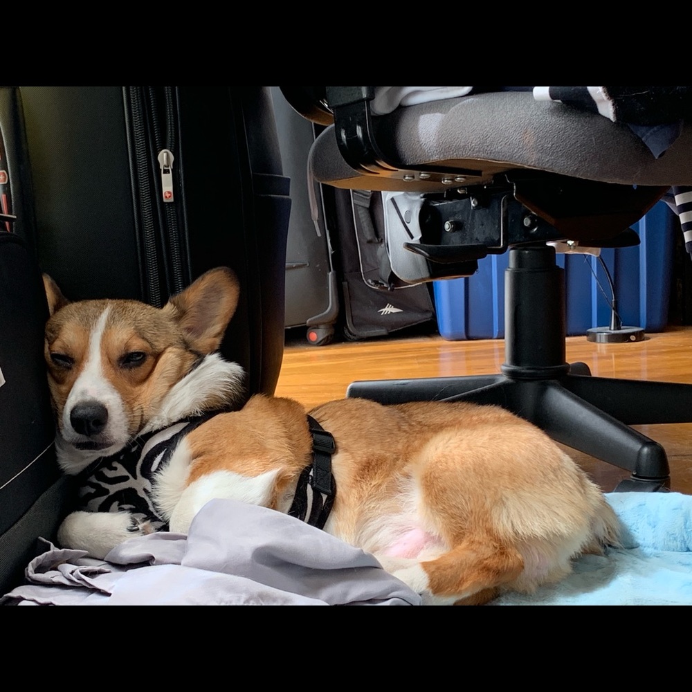 Meet your Posher, Jerrysucks